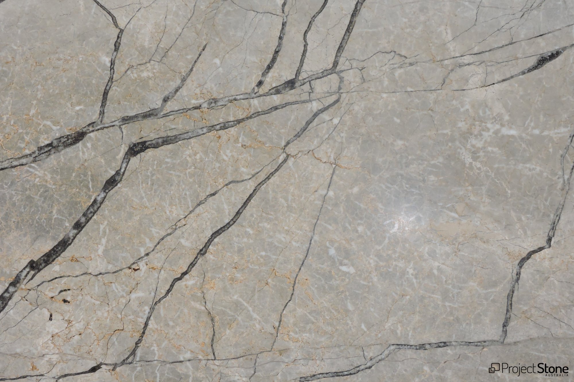 https://www.projectstone.com.au/wp-content/uploads/2023/04/Silver-Roots_marble_20mm_Honed-Finish_ref2323_batch23-33_closeup.jpg